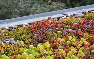 the cost of Fitling green roof installation